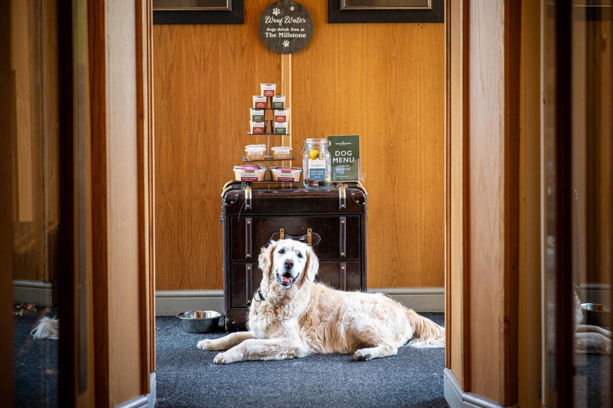 The Millstone, Mellor Hotel Blackburn  Exterior foto The Dog Room