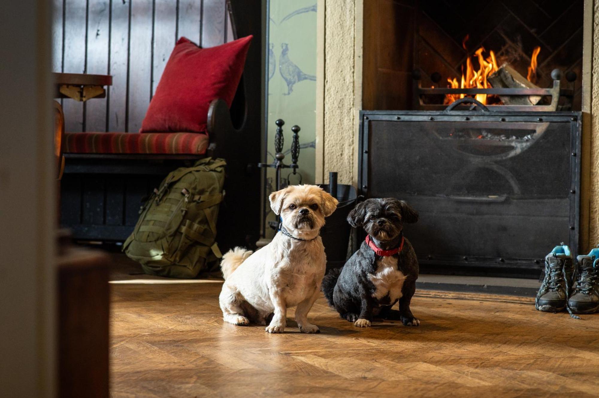 The Millstone, Mellor Hotel Blackburn  Exterior foto Dogs at the Inn